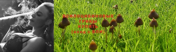 первитин Бугульма